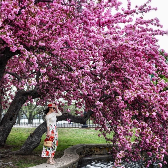 Instagram @instyleliny - Picture 2 of 8